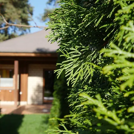 Biale Tatil Evi Brenno